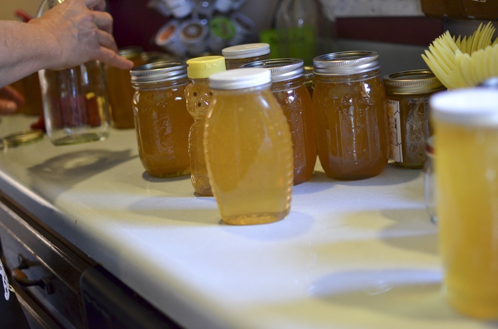  2015 honey harvest_1